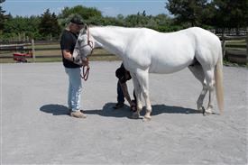 LR-WRF 762025 Retreat-1974